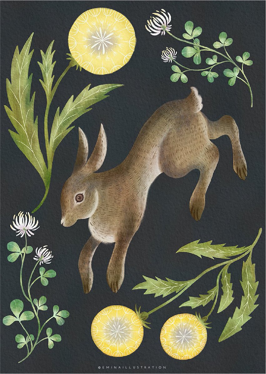「Dandelion, White clover and rabbit たんぽぽと」|Webber Emi |うぇばーえみのイラスト