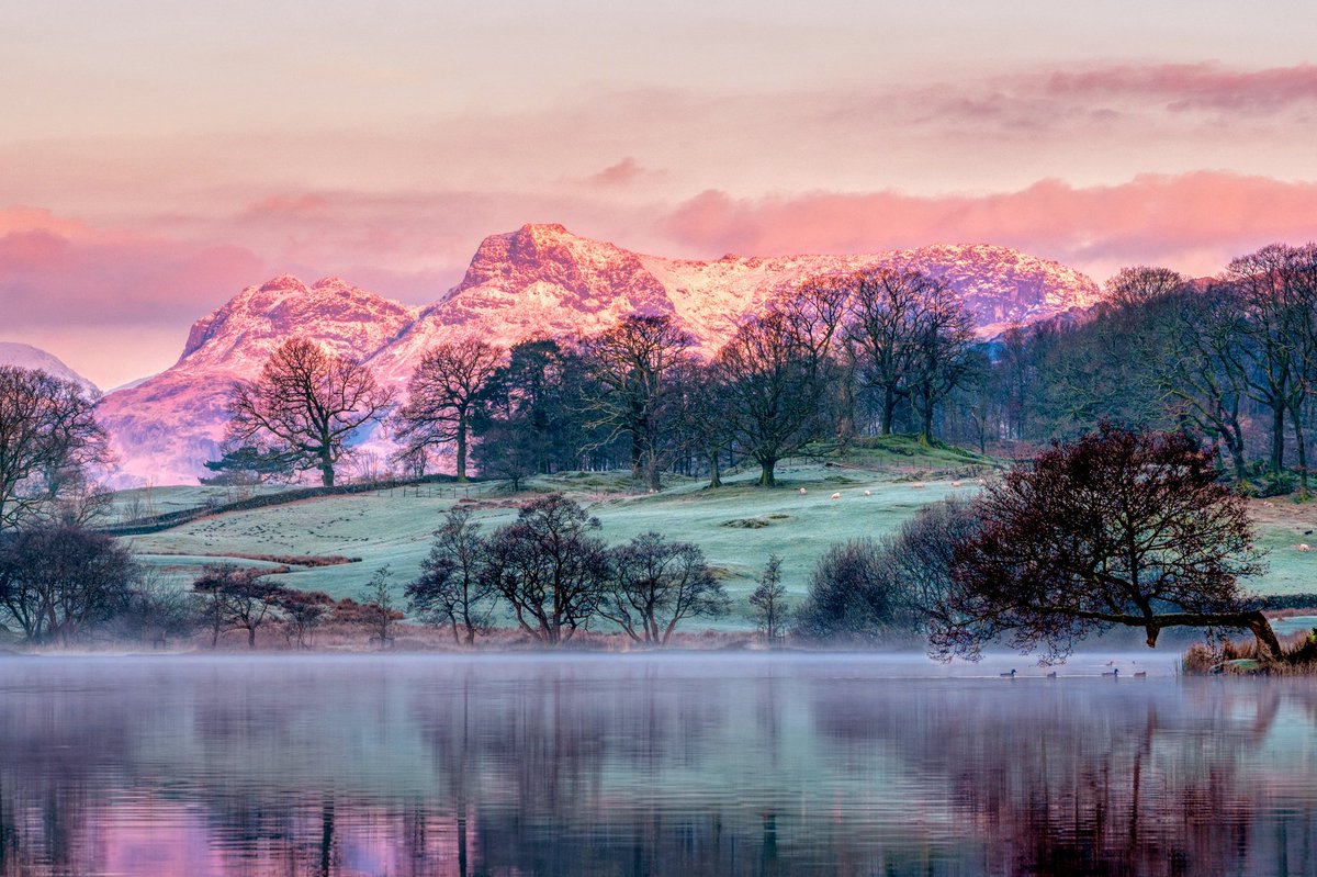 Morning everyone hope you are well. Dawn breaking over Loughrigg Tarn with the Langdales as a backdrop. All to myself and very peaceful. Have a great day. #LakeDistrict @keswickbootco