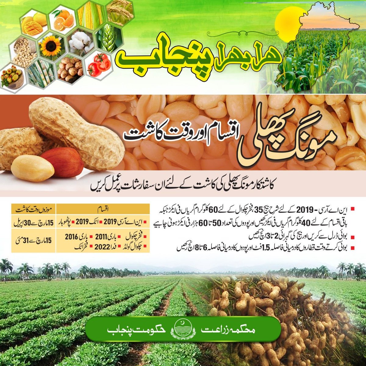 agri_department's tweet photo. #ہرا_بھرا_پنجاب
#peanut #varieties #agriculture #farmer #reaearch #sowing
@AgriInfoMultan https://t.co/LI1wYUCn2X