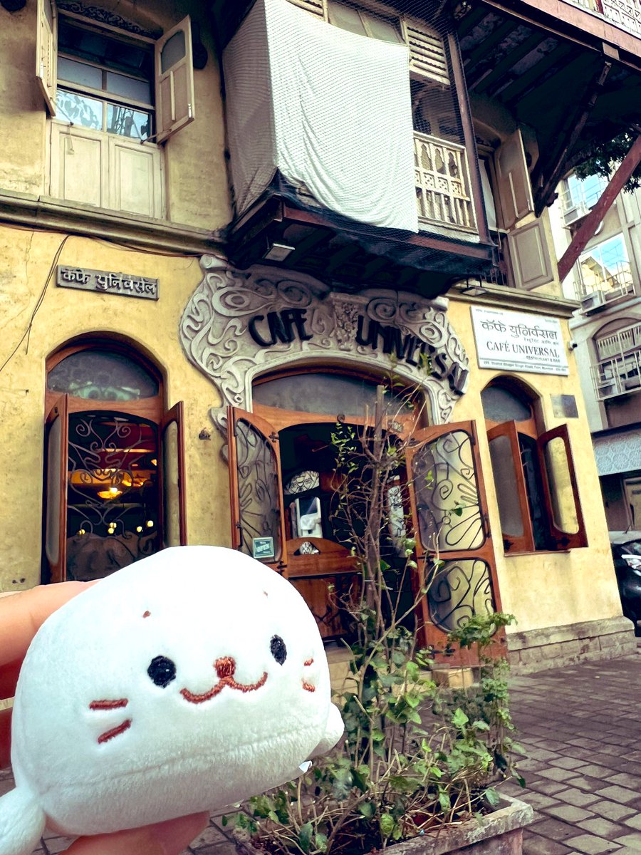 shirochans2024's tweet image. おされカフェにきたきゅ
とりまビールきゅ🍻いえぇぃぃ
#しろたん　#shirotan #CafeUniversal #कॅफेयुनिव्हर्सल