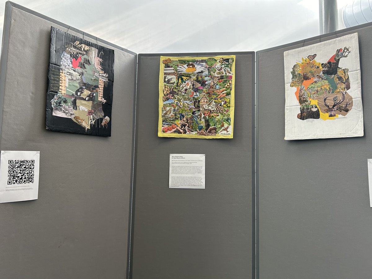 Blown away by the depth of scientific investigation, creativity and empathy in the Art Installations from our MSc Science Communication for a Better Planet students.
Four amazing works, exploring the journey from Ecoanxiety to EcoHOPE.