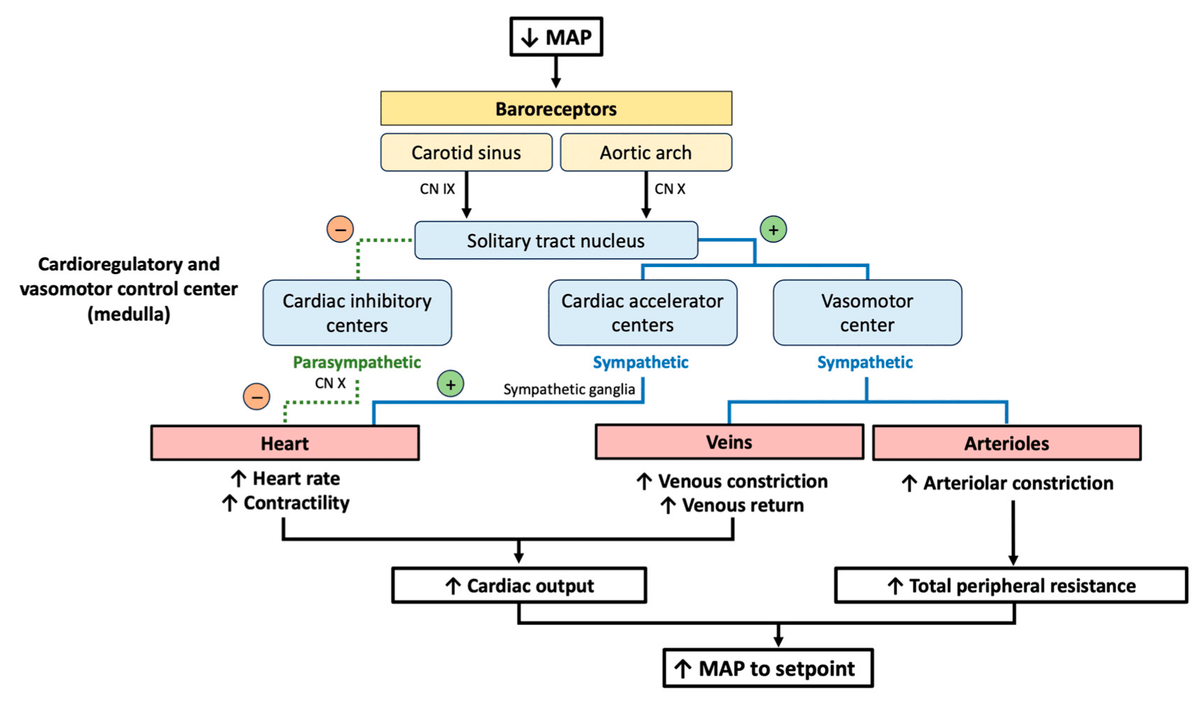 JCM MDPI tweet media
