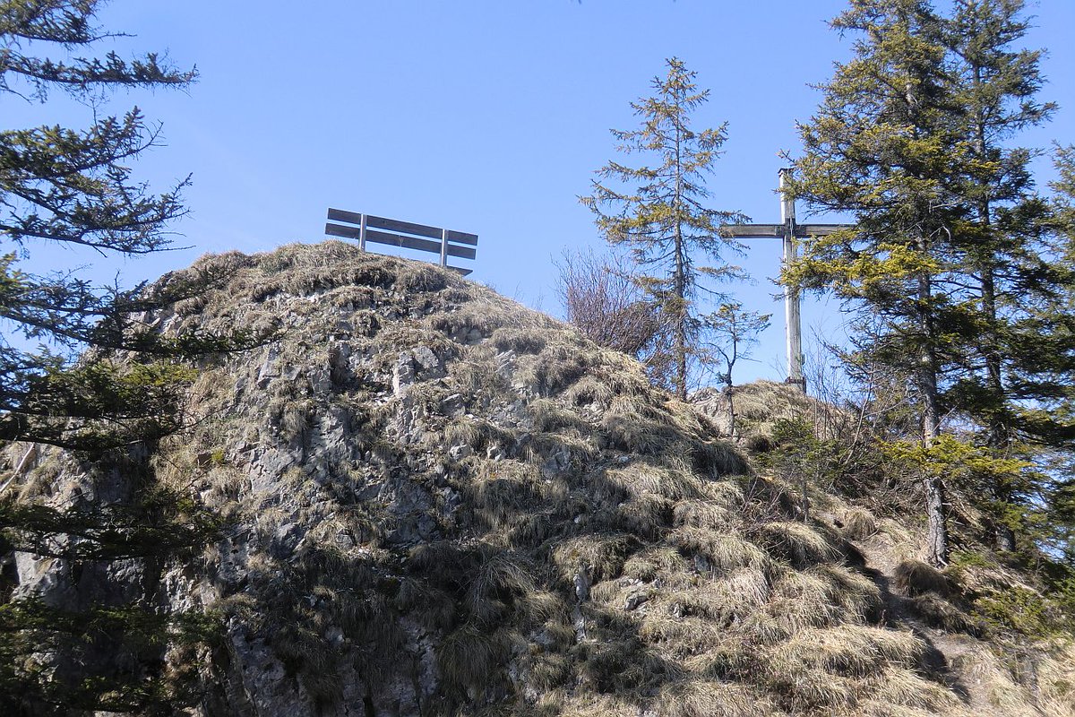 Grasleitenstein 1269m Grasleitenkopf 1434m Grasleitensteig von Hohenburg bei Sonnenschein, leider ist der Steig seit einigen Jahren auf einem km ein greisliger Fostweg 4h 730Hm 11km