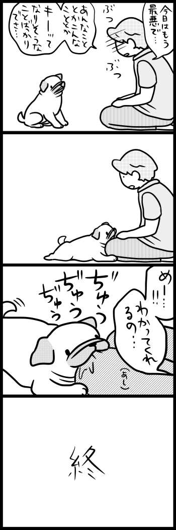わかってくれそうでわかってはくれない犬 