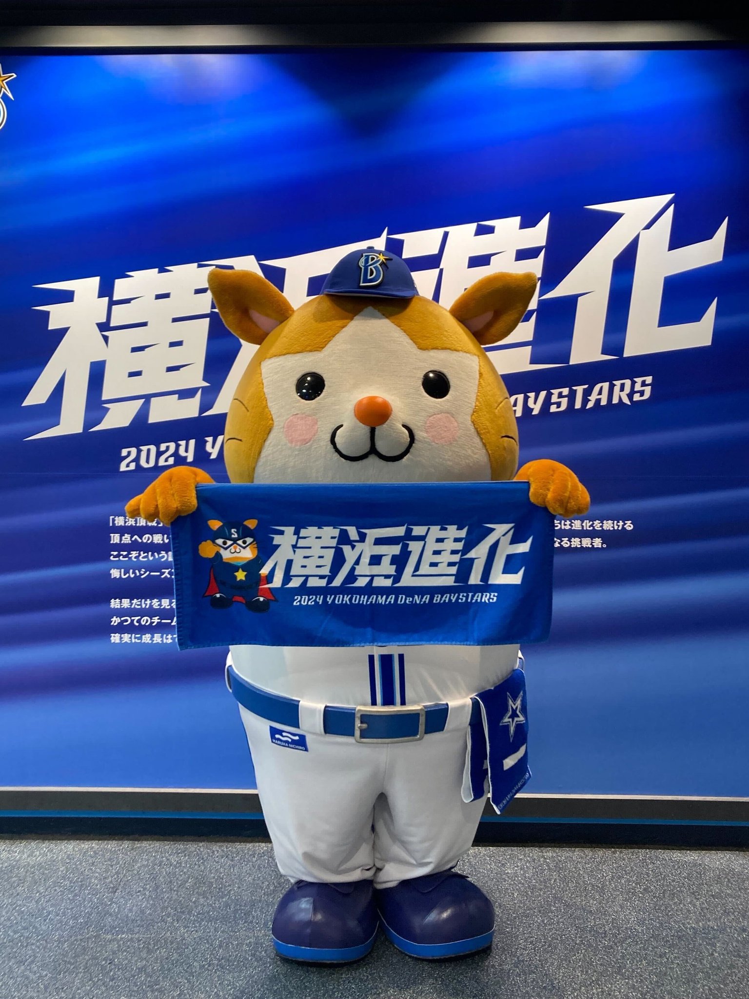 超希少・値下げ】横浜ベイスターズ限定ジャンバー