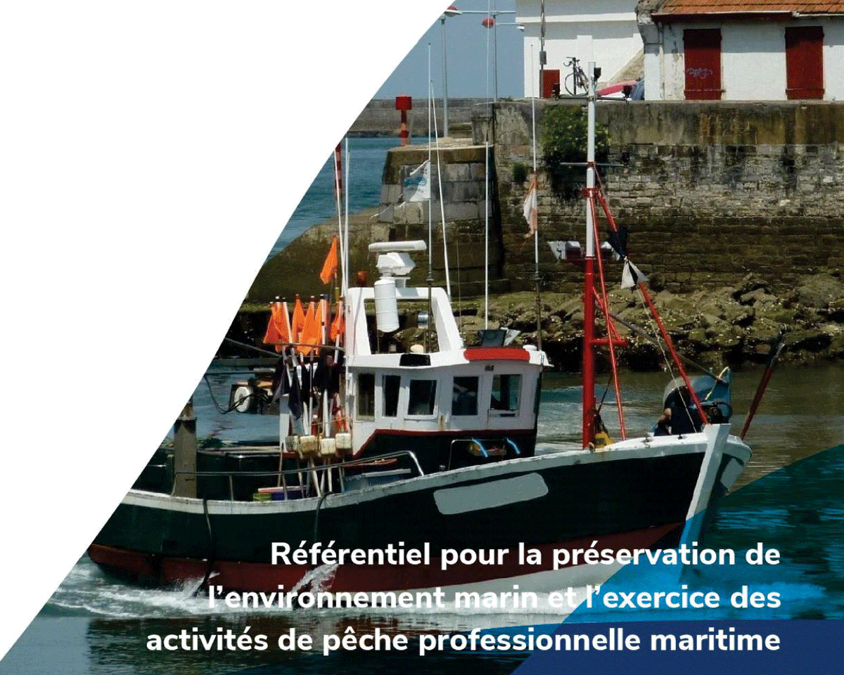 📣Le référentiel technique sur la préservation de l'environnement marin et l'exercice des activités de pêche professionnelle maritime est en ligne ! Document réalisé en collaboration avec le @CNPMEM dans le cadre du @LIFEprogramme #Marha. 👉+ d'info : professionnels.ofb.fr/fr/doc/referen…