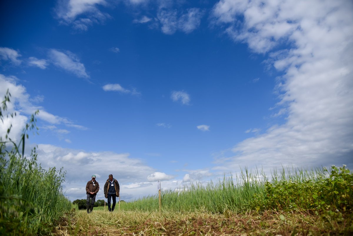 National Organic Conference
1-2 July 2024
@Tim_kingsclere
With @organicarable @OGAgrowers @ukorganicassoc & @UKGrainlab
#NOC24

Whether you’re longtime organic or taking the 1st steps on a path to regen ag you’re most welcome to join us

More details…
ofgorganic.org/events/nationa…