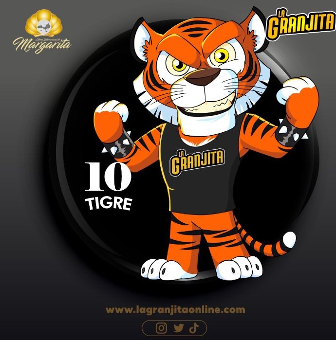 Radarhipico's tweet image. #Martes #Animalitos  #RegalosAbiertos 
@marrpacheco