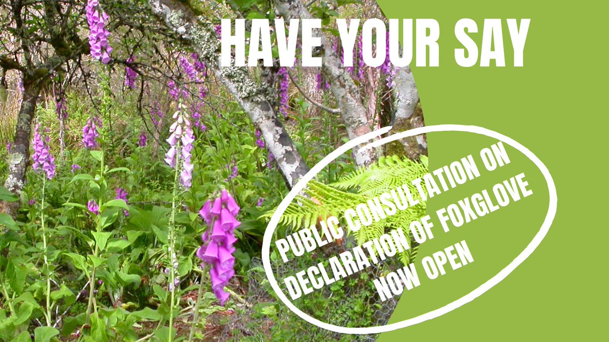 NRM SOUTH (@nrmsouth) on Twitter photo Have your say on the proposed intent to list foxglove as a declared weed in Tasmania. NRE Tasmania have opened public consultation on this proposal until 21 April 2024 nre.tas.gov.au/see-also/publi… Have your say on the proposed intent to list foxglove as a declared weed in Tasmania. NRE Tasmania have opened public consultation on this proposal until 21 April 2024 nre.tas.gov.au/see-also/publi…