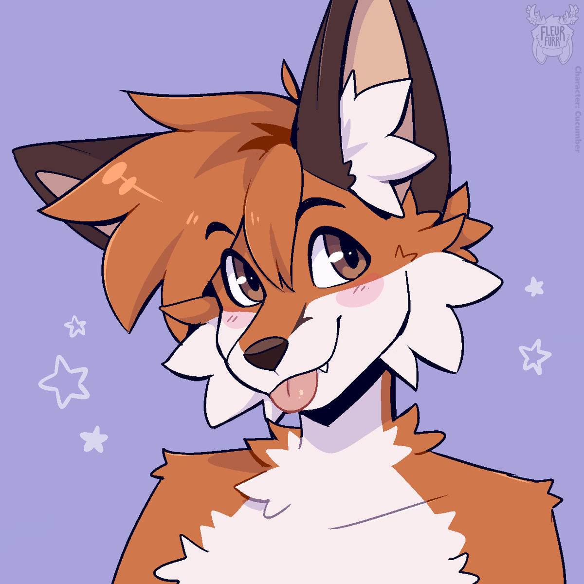 Fleurfurr's tweet photo. 🦊 https://t.co/0jVbT4GZ6T