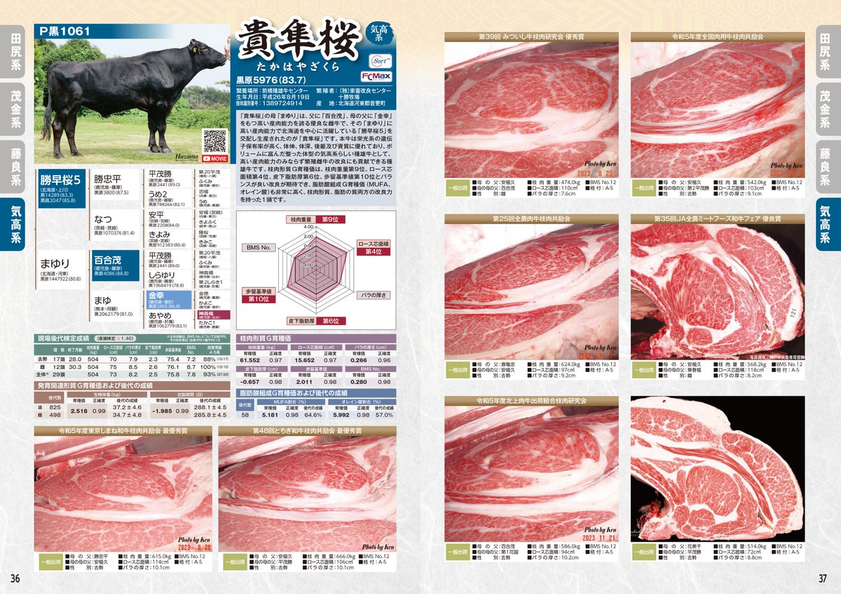 福勝鶴　おまとめ 福勝鶴