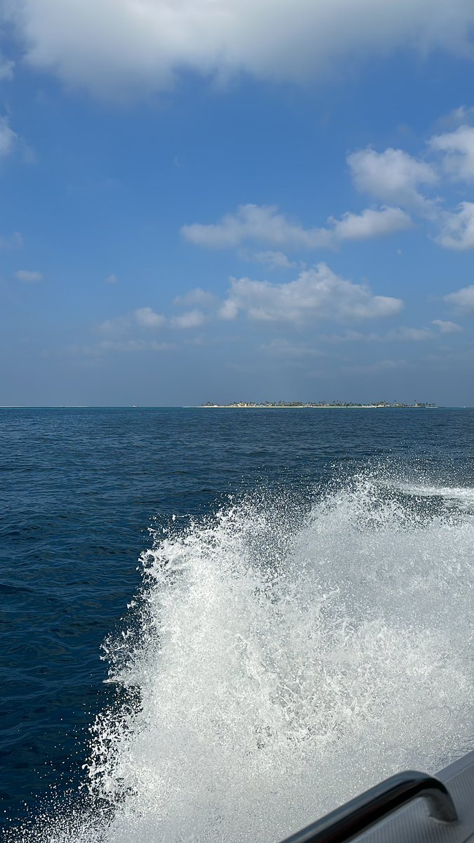 KongBTC's tweet image. ONCE #LTC HITS $1000 I WILL BUY THIS ISLAND AND EVERYONE WHO REPOSTS THIS POST WILL BE INVITED!!🚀🚀🚀