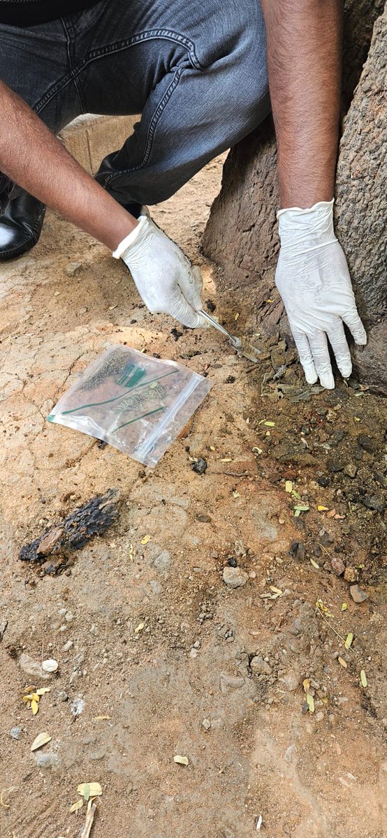 Vijay Nishanth tweet media