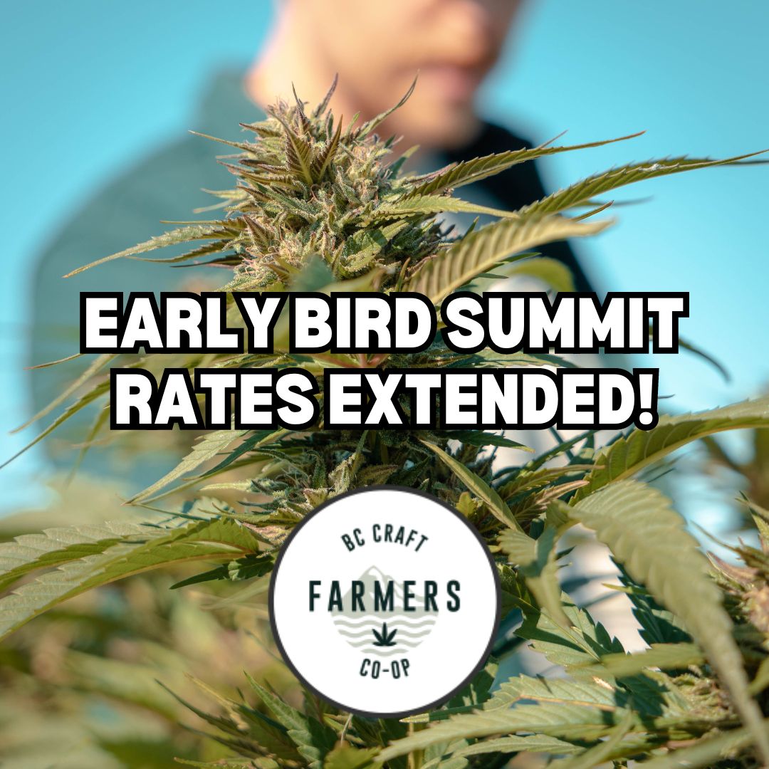 BC Craft Farmers Co-op (@bccraftcoop) on Twitter photo 🌿📢 Early Bird Rate for the BC Craft Farmers Cannabis Summit extended until March 10! Don’t miss the chance to network with industry leaders in Prince George this 4/20 weekend. Save 50% now on summit passes! Act fast and secure your spot 👉Email info@bccraftfarmerscoop.com 🌿📢 Early Bird Rate for the BC Craft Farmers Cannabis Summit extended until March 10! Don’t miss the chance to network with industry leaders in Prince George this 4/20 weekend. Save 50% now on summit passes! Act fast and secure your spot 👉Email info@bccraftfarmerscoop.com
