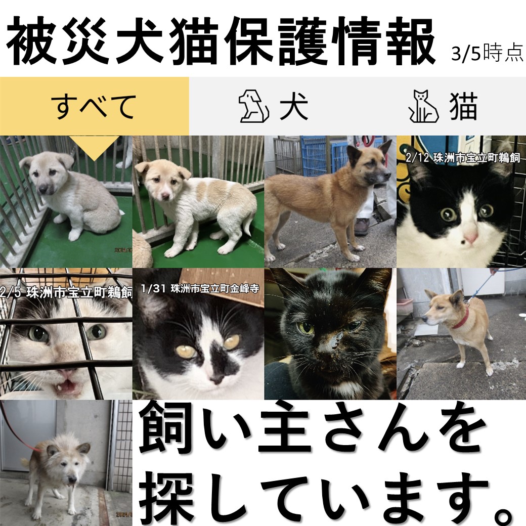 motto_ishikawa tweet picture