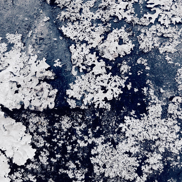 Radiant Point on WGXC 90.7 FM! tweet media