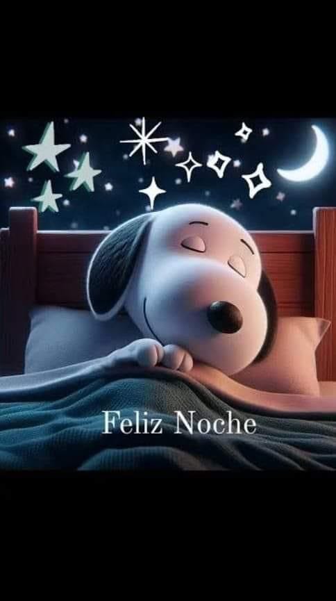 SaraPrezLpe's tweet photo. Lindo descanso para tod@s, que las bendiciones y los bellos sueños te acompañen. 😴 🌃 https://t.co/8XTZvpBjaS