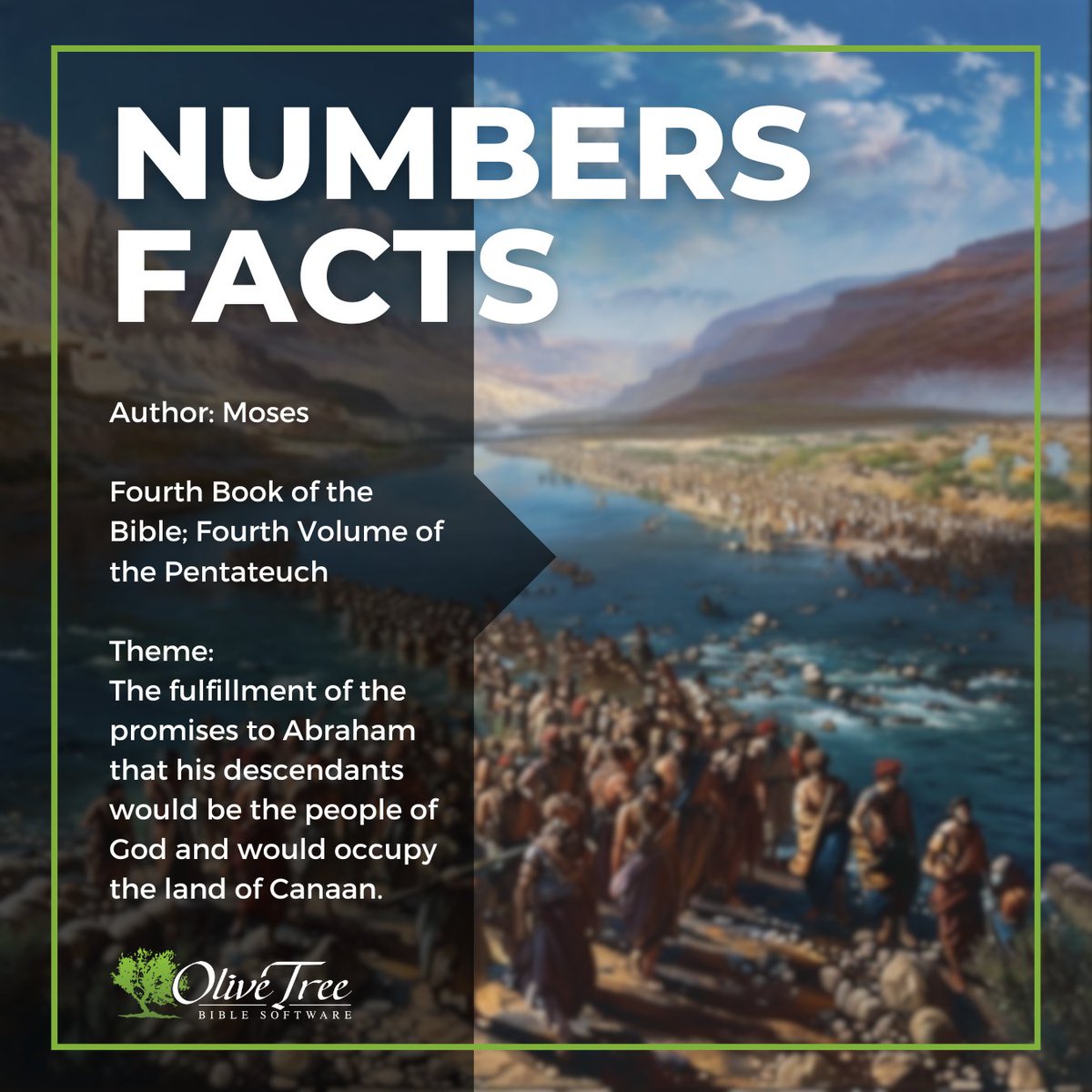OliveTreeBible's tweet image. Numbers is the fourth book of the Bible 📖 Did you know? This ancient text not only records the Israelites' journey through the wilderness and to the Promised Land, but also contains intriguing numerical patterns, laws, and profound spiritual truths. #BibleFacts #Numbers ✨