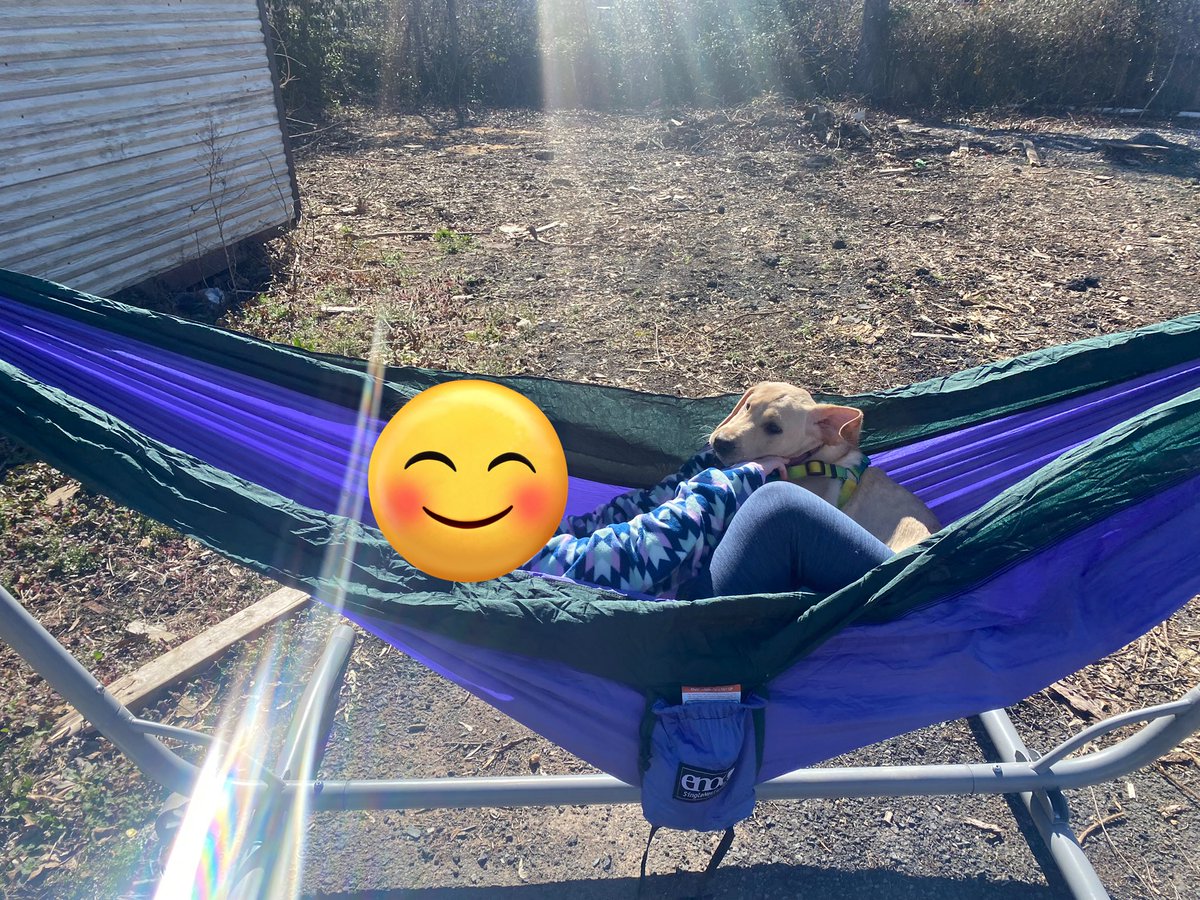 Hwin's tweet image. A child and her buppy. She’s been over the moon, and I am dead tired.