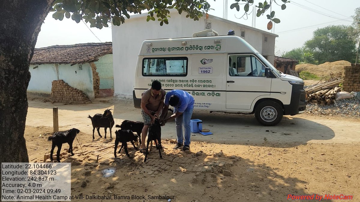 ovsa_sambalpur's tweet photo. Animal health camp in Bamra block .
@CMO_Odisha @farddept @MoSarkar5T @rajaaswain @dahvsodisha https://t.co/MgzB1dIekJ
