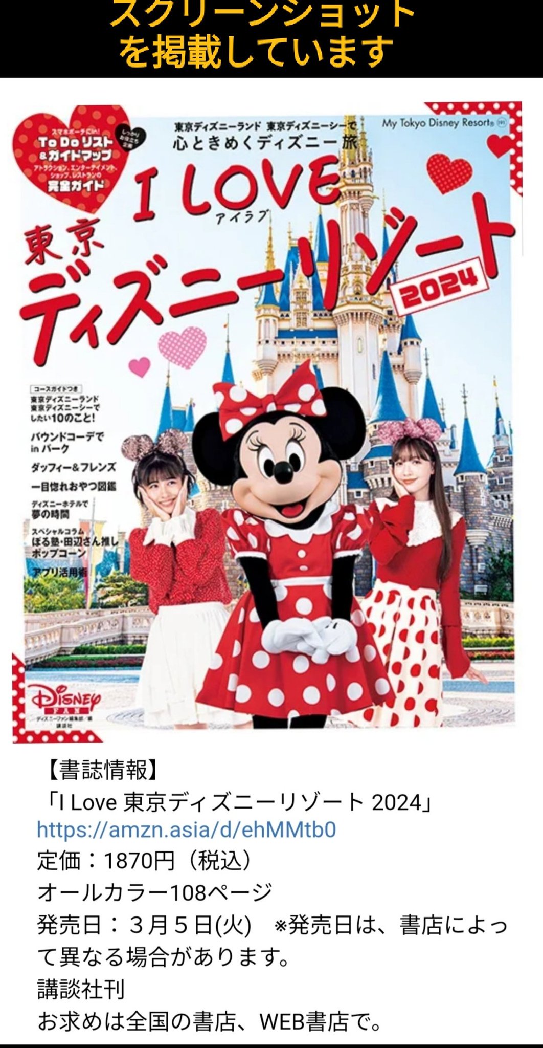 ディズニー リトグラフ 大判 1枚バラ売り ディズニー リトグラフ 大判 1枚バラ売り 版画