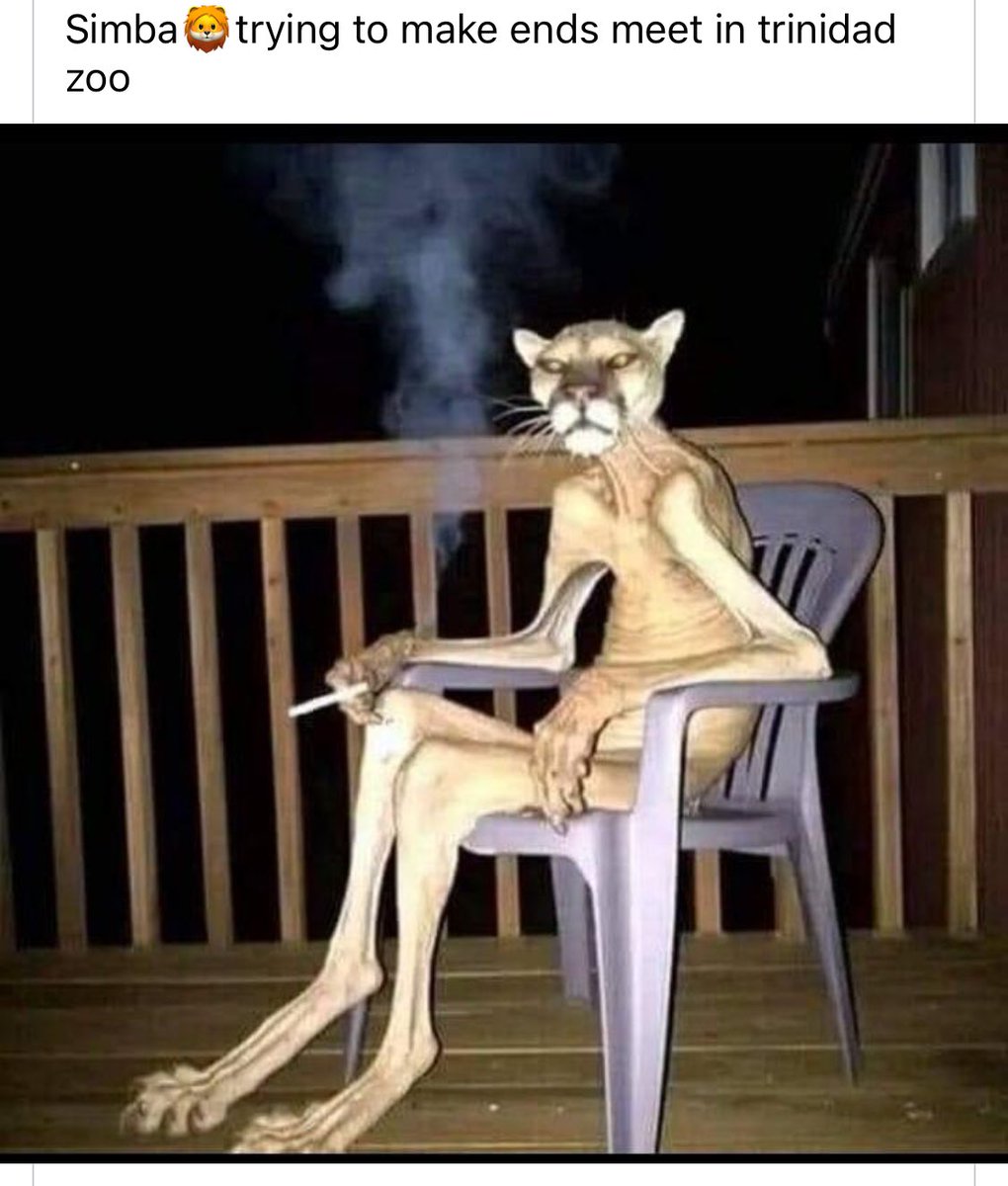 🤣🤣🤣🤣