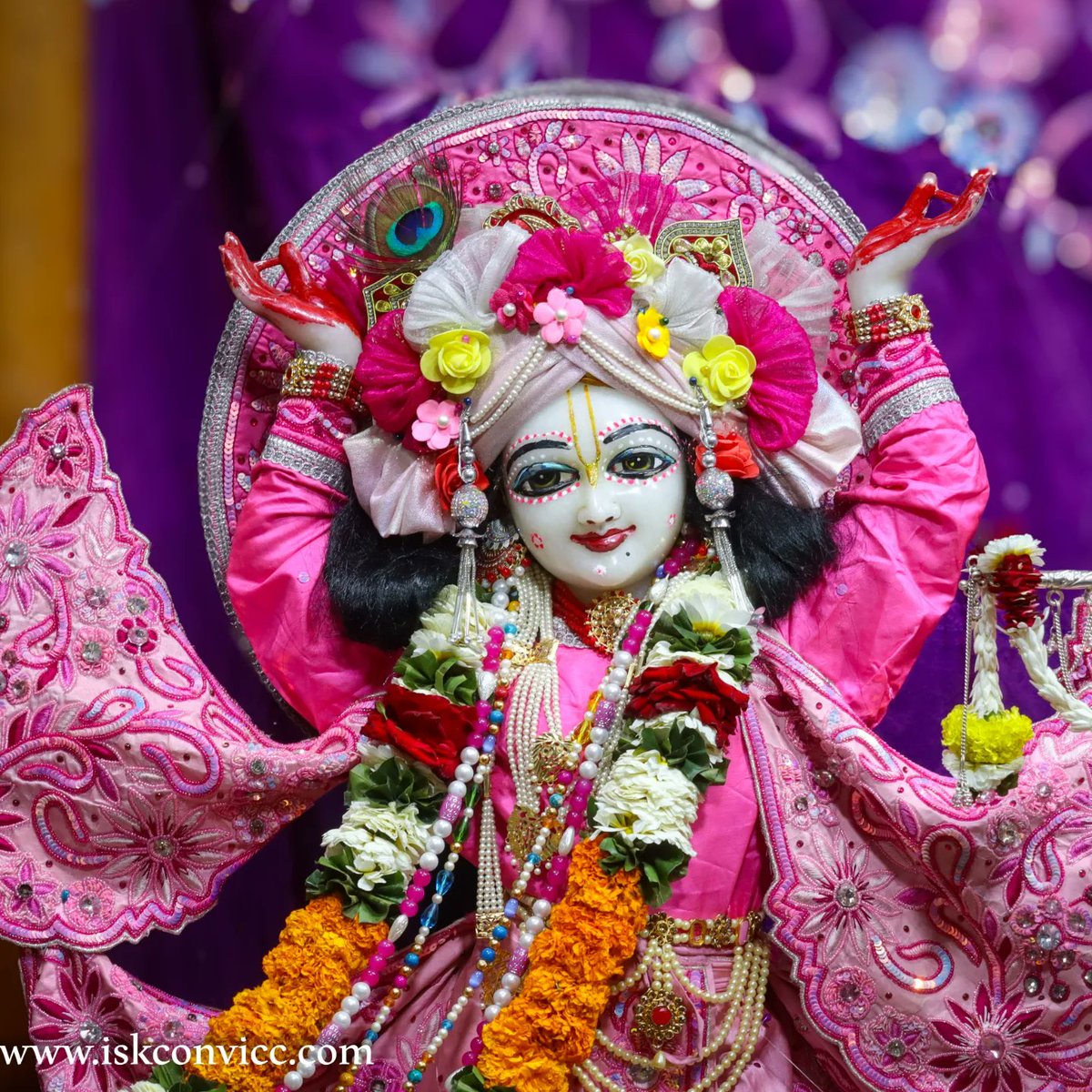 iskconvicc's tweet photo. Śrī Śrī Radha Gopal Darshan -  5/3/2024 @iskconvicc

#srisriradhagopal #iskconvicc #tuesdaydarshan #aajkedarshan #mangalvar #lotusfeetoflordkrishna🌺🌹🌼🌷👏 #shriradhe #nitaigauranga #haribol #manglaarti #darshanaarti #shringaardarshan https://t.co/fLc0rriCVb