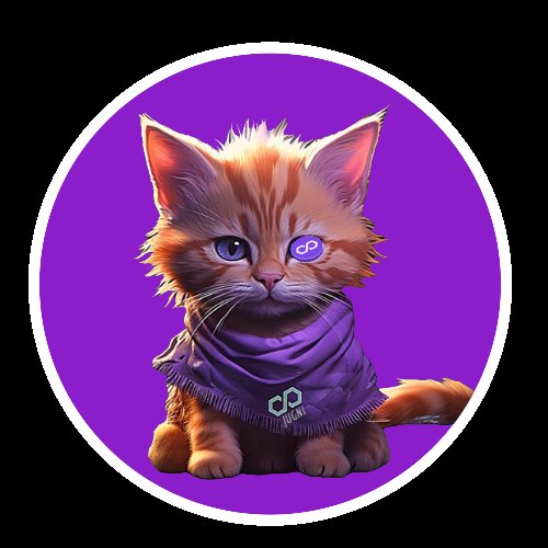 JugniPolygon's tweet photo. @wizardofsoho Get yourself prepped for a massive rally over at $MATIC

$Jugni will be the biggest mover on @0xPolygon and this sub million market cap #memecoin already has the attention of the Founder, CEO and the team of #Polygon

Time to really open the flood gates! 🔥 https://t.co/cgJ8D010WM