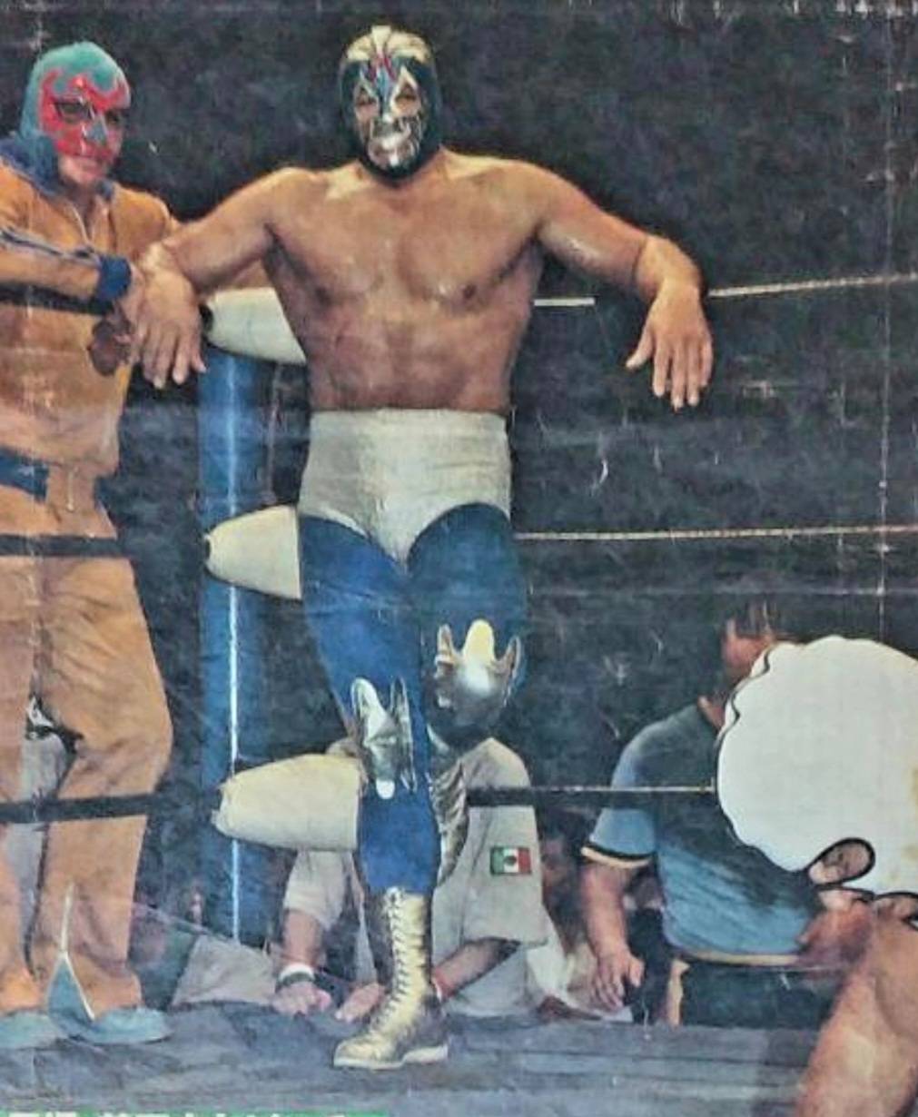 ミルマスカラス、キャラプロ、プロレス、デストロイヤー ミル・マスカラス＆ザ・デストロイヤー 雑誌付録ピンナップ – 闘道館