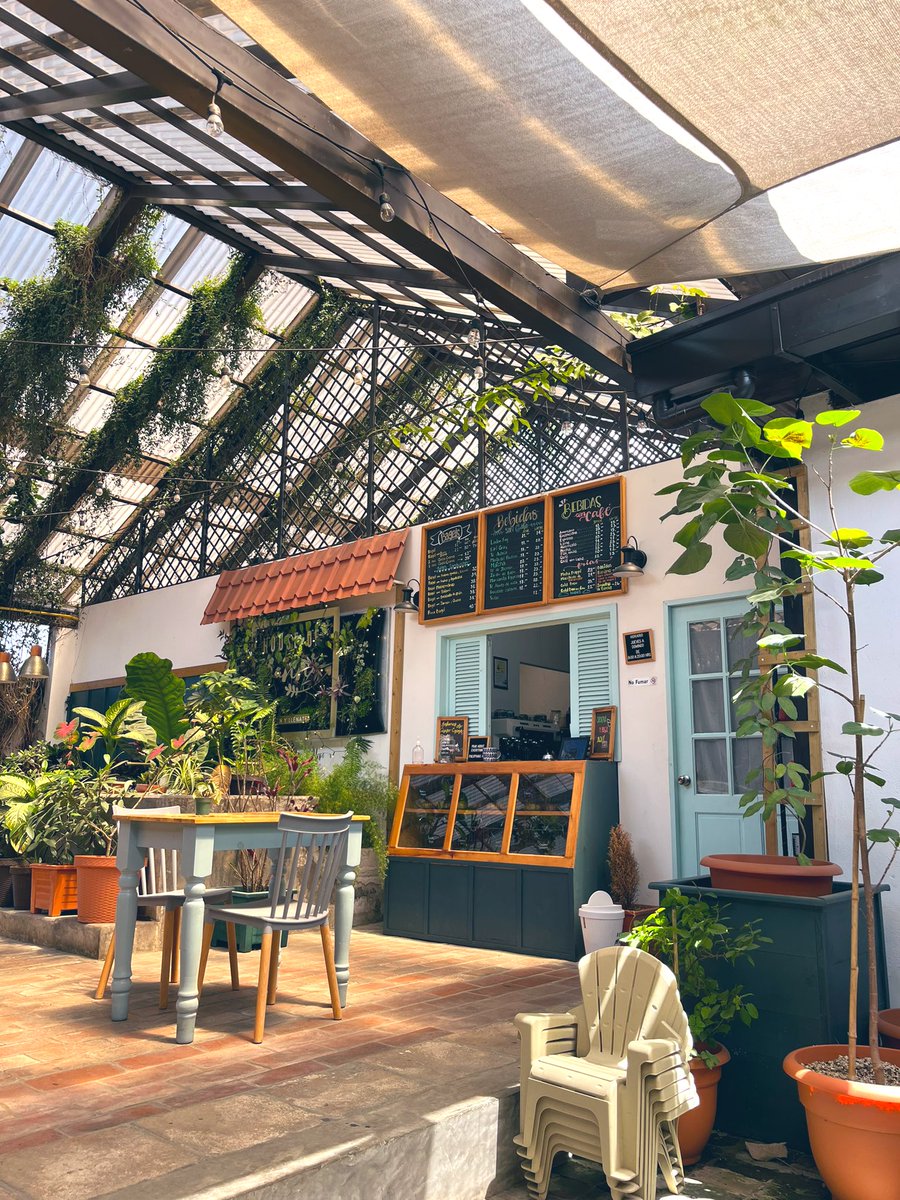 NoyoMeDicen's tweet photo. Ya tenía ratos de no visitar el coffeeshop de mis amigos @JonathanYalibat y @barb257 definitivamente lo comenzaré a visitar más seguido 10/10 https://t.co/vvDWDiOPz7
