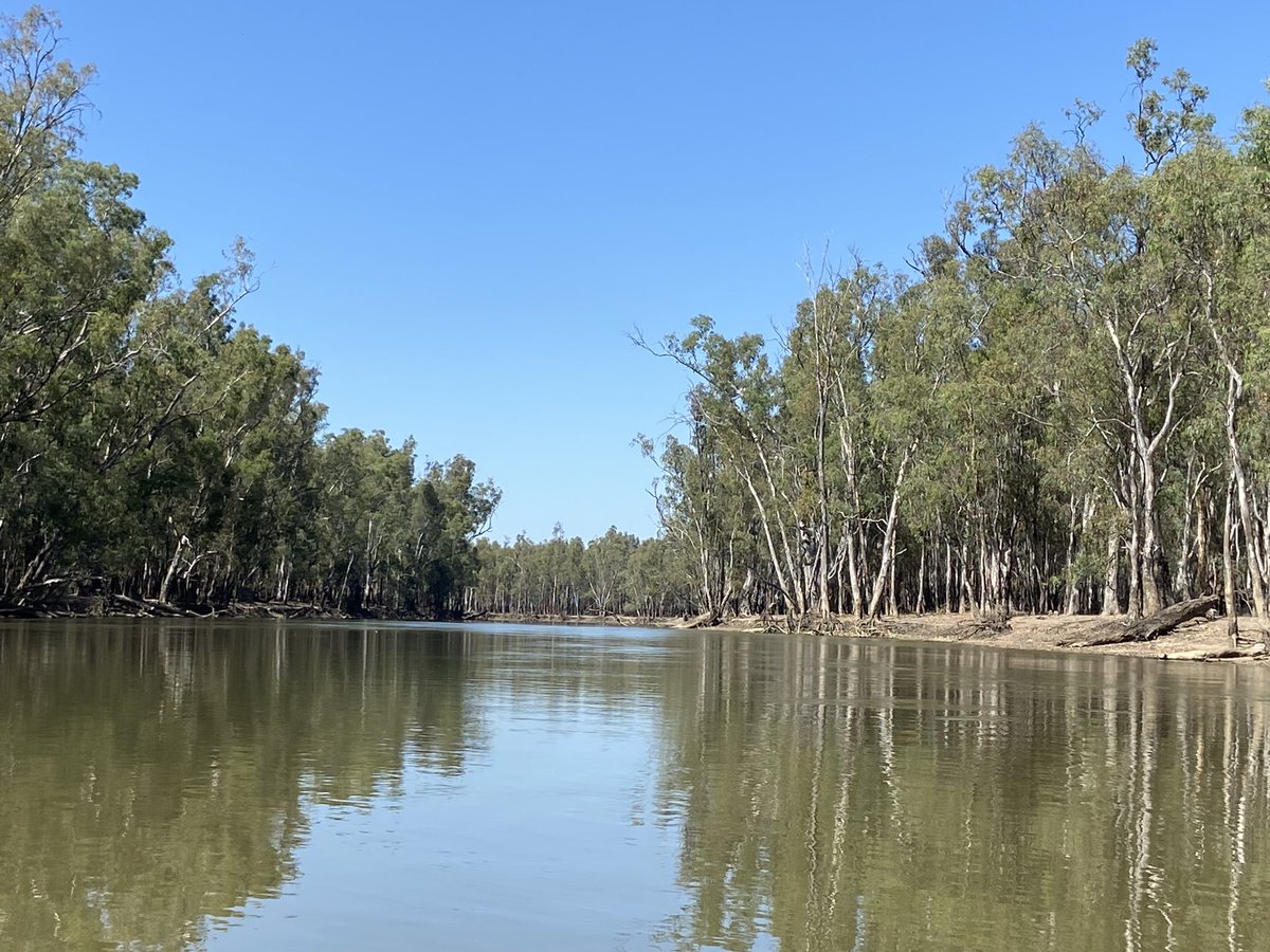 Road trip day 2: Barmah National Park, Yorta Yorta country