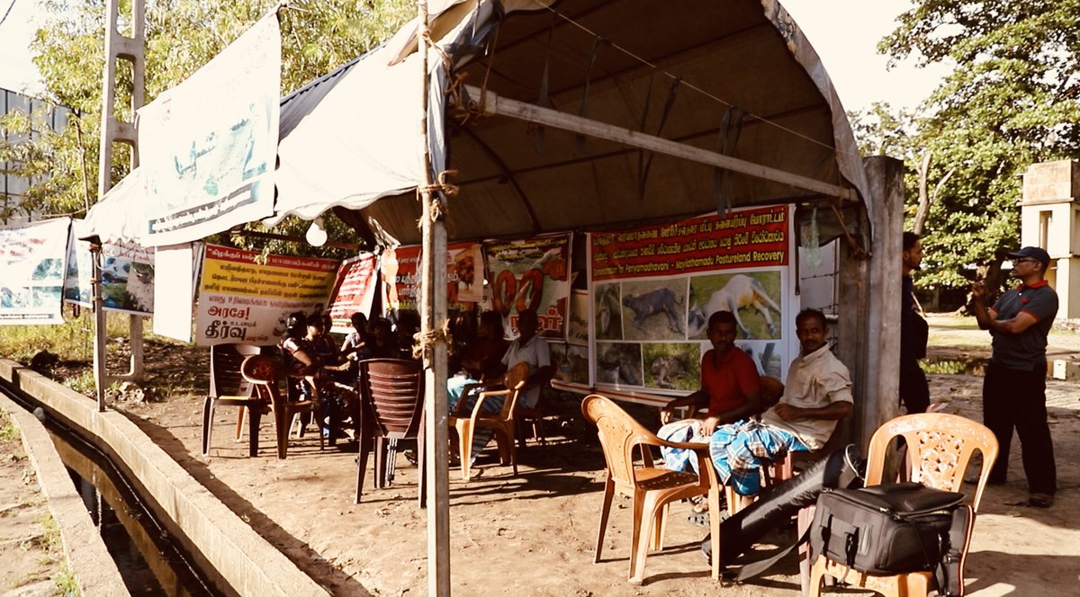 The Peaceful Protest of the Tamil Dairy Farmers of the East

The Tamil dairy farmers of Sithandi in the Eastern province, who uses Mailaththamadu area, are holding a continuous demonstration and a protest that has been running for more than 146 days. Their demand is to evacuate
