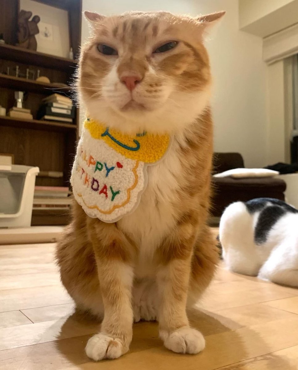 𝕵𝖊𝖘𝖘 𝕻𝖗𝖎𝖈𝖊 tweet media