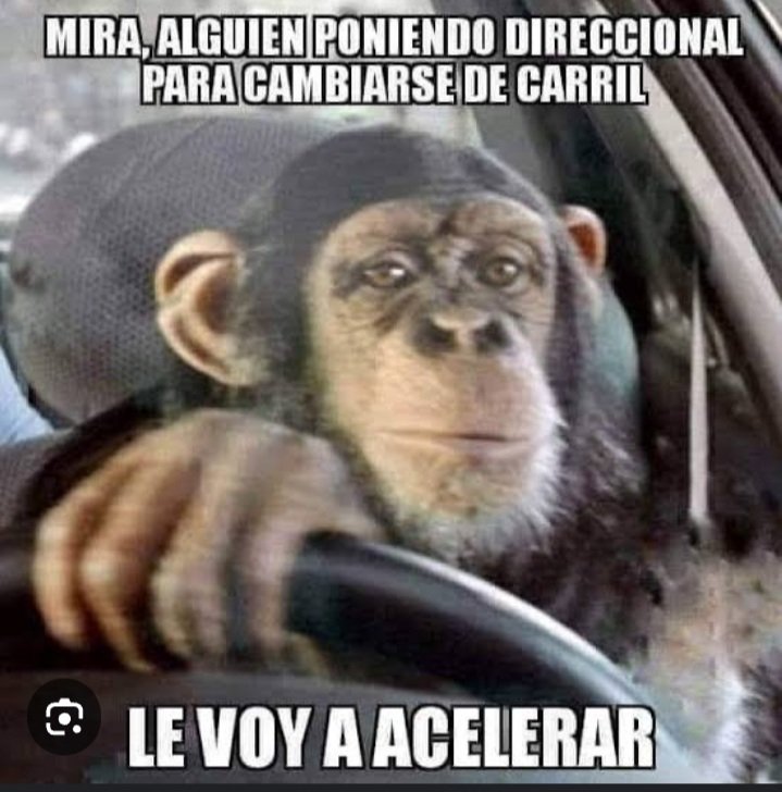 CulturaXal's tweet photo. @econsulta_ver @VialidadXalapa @Taxi_Xalapa Ojalá y los animalitos https://t.co/VaO9ZrByd3 creación y con pocas neuronas, les sirva esto. https://t.co/0yOYxpBNAV