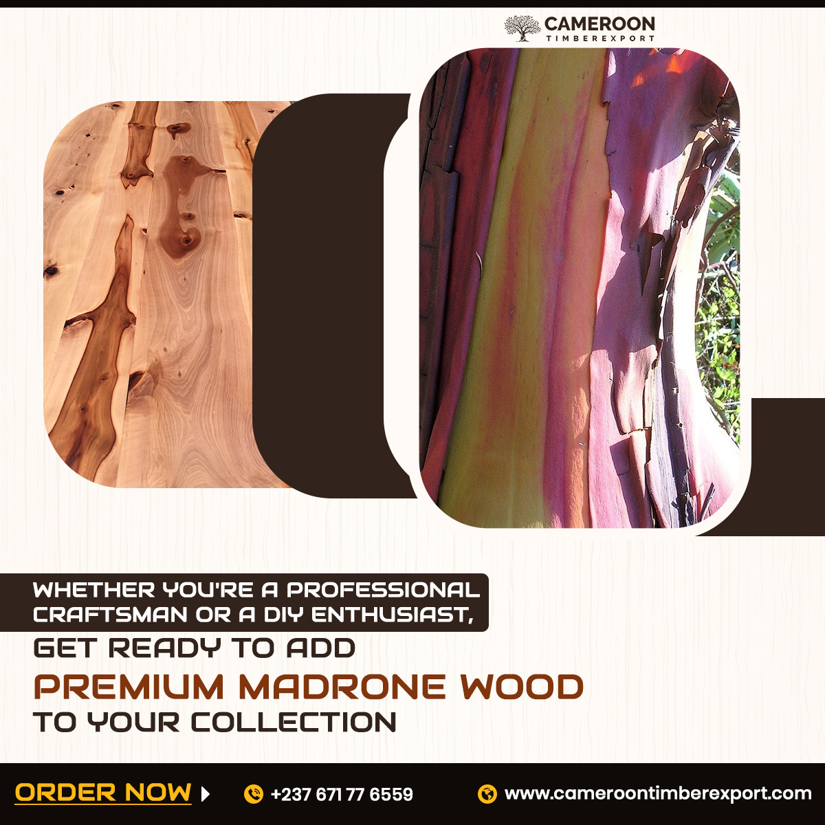 WHETHER YOU'RE A PROFESSIONAL CRAFTSMAN OR A DIY ENTHUSIAST, GET READY TO ADD PREMIUM MADRONE WOOD TO YOUR COLLECTION🪵📢🪵

ORDER NOW: cameroontimberexport.com/product/madron…

#timber #lumber #wood #madrone #woodlogs #woodslabs #timbermerchant #woodsupplier #export #buynow #ordernow