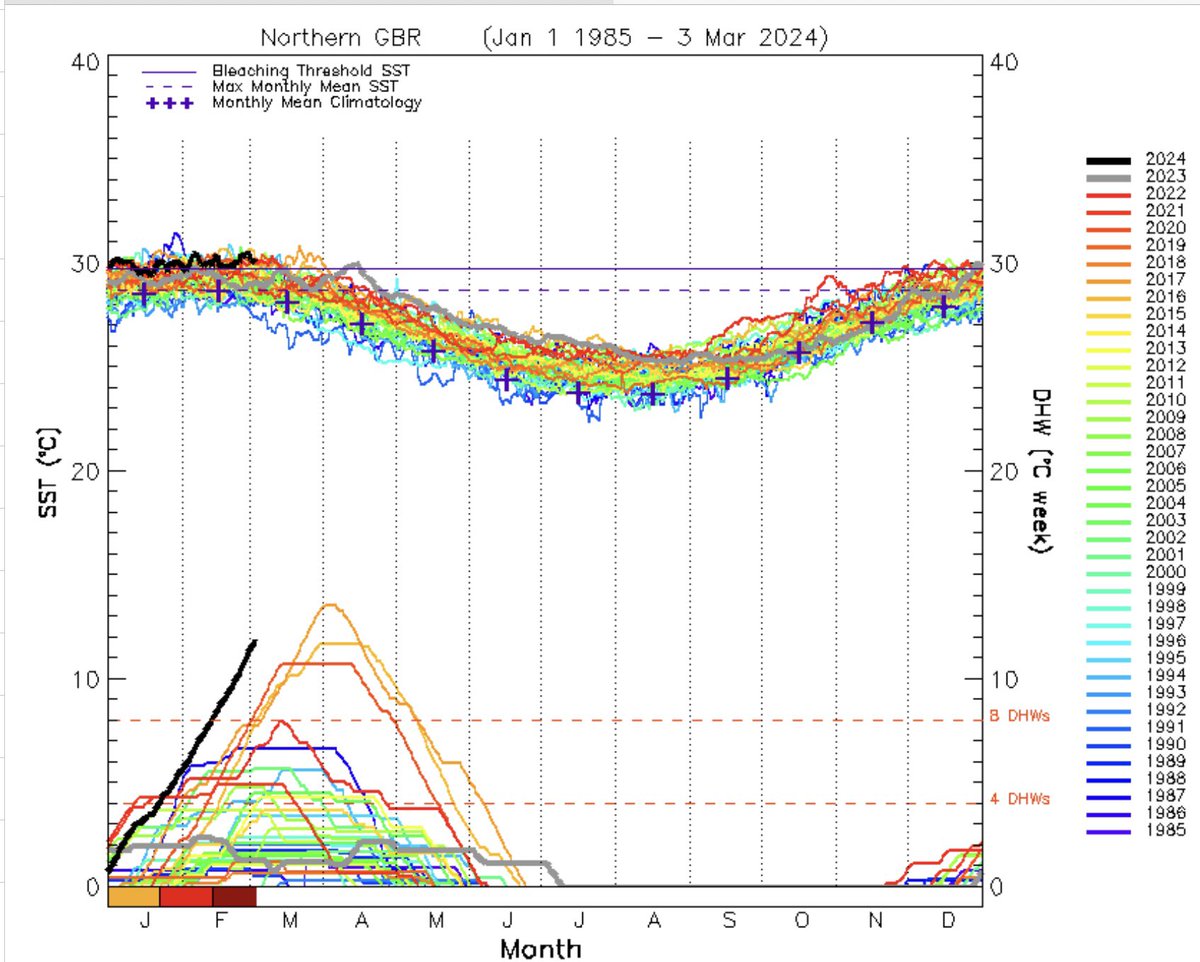 There are no more new words I can use to describe the current state of the climate crisis. The world is seeing abrupt change unlike anything it has seen in 66,000,000 years. Mass ecosystem die-offs, missing winters, sky-high sea surface temperatures are all becoming the norm.