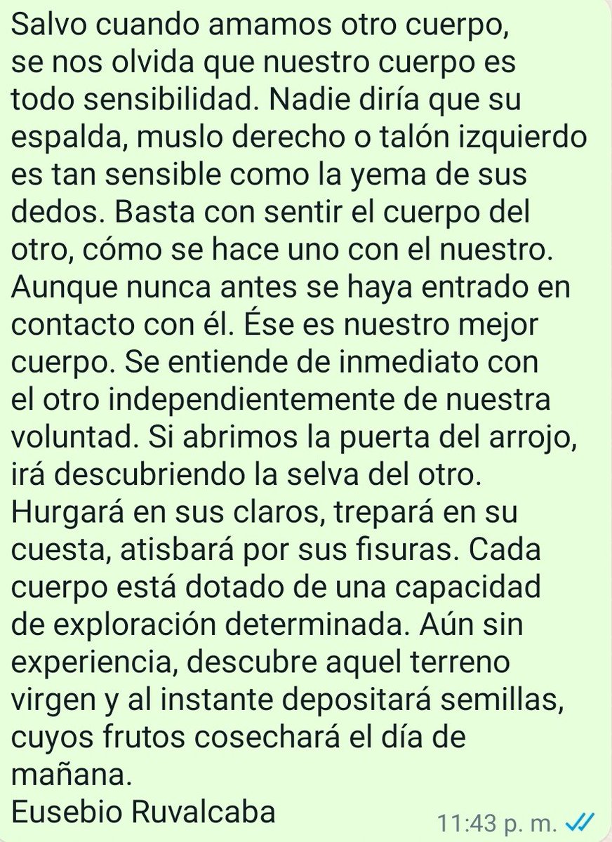 Una cerveza de nombre derrota.