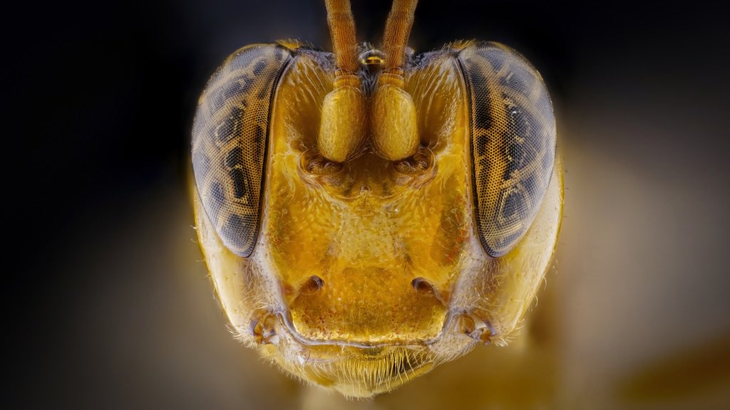 Ilari E. Sääksjärvi tweet media