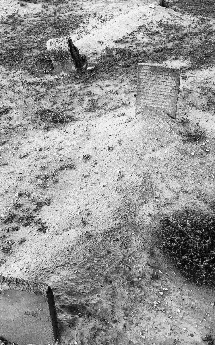 Я̩̥̊ēēM̷̜ɪ̇♡ tweet media