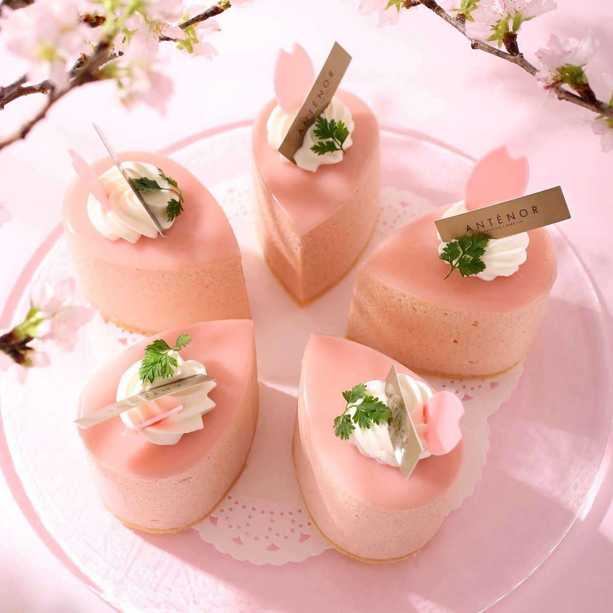 本日から #お花見スイーツ 始まります🌸 今日はその中から『桜と紅茶の