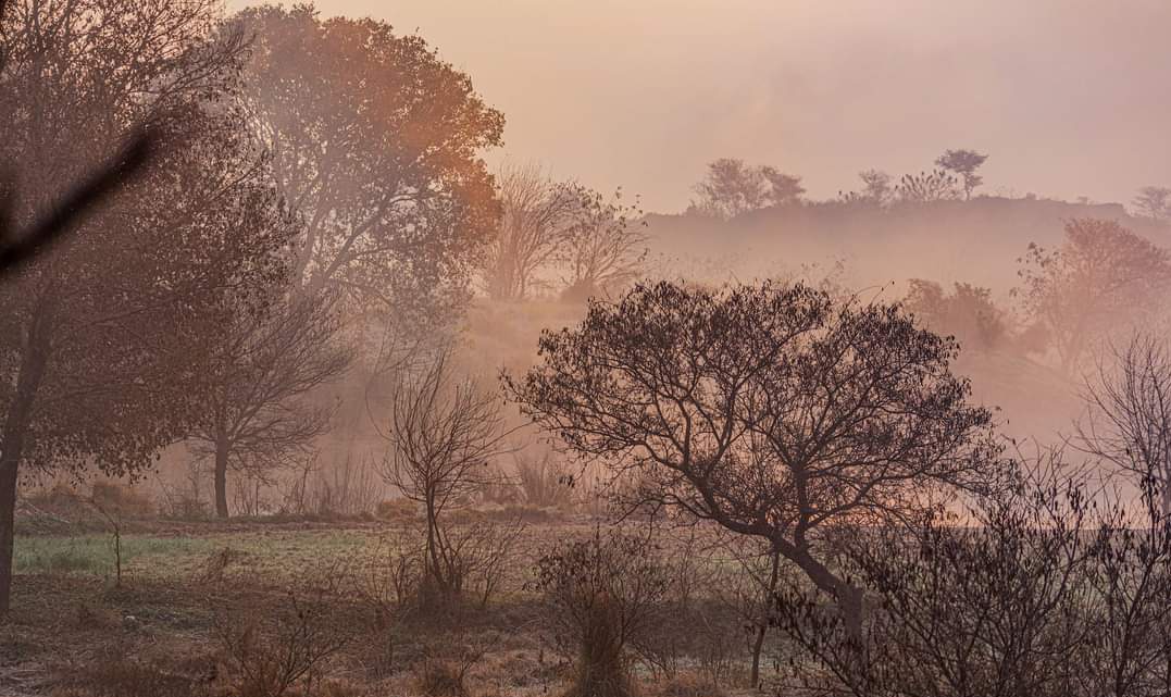 Good morning to all of you x community :')
" The combination of morning glow and fog can create a truly magical scene especially just after sunrise nature has a way of captivating us with its beauty :) 
#morningvibes 
#TuesdayFeeling 
#bestofluck