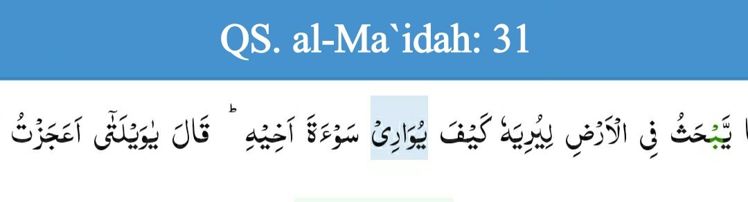 Lafadh كَيْفَ adl isim istifham(kt tanya) mahal nashob alal Haal. يُوَارِي artinya mnutup/mengubur adl fiil mudhori marfu' dri madhi وَارَى. Kalau qt qiyas:
وَارَى يُوَارِي وَارِ مُوَارٍ مُوَارًا
Lfdh سَوْءَةَ sbg maf'ul dan أخِيْهِ sbg mudhof ilaih dibac jar