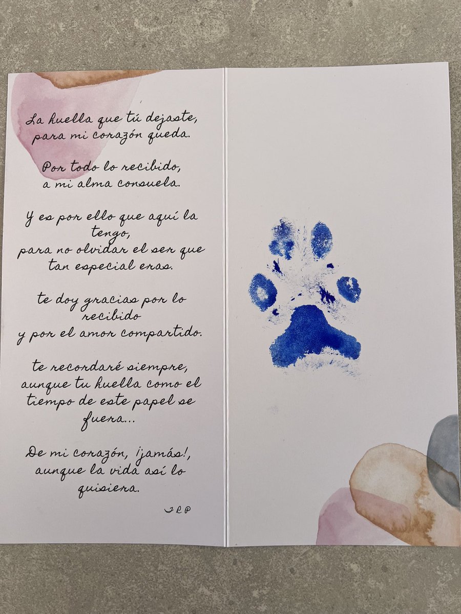 nfarras21's tweet photo. Hoy es un día triste, se me va una parte de mi con el. Blacky ha sido un perro maravilloso ha luchado hasta el final y no ha podido sobrevivir. Te voy a echar mucho de menos amigo 🖤 https://t.co/2CREfHtqgN
