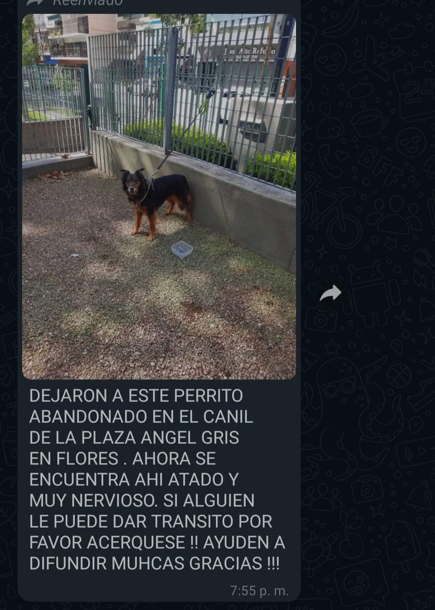 patripeyrou's tweet image. Difundimos