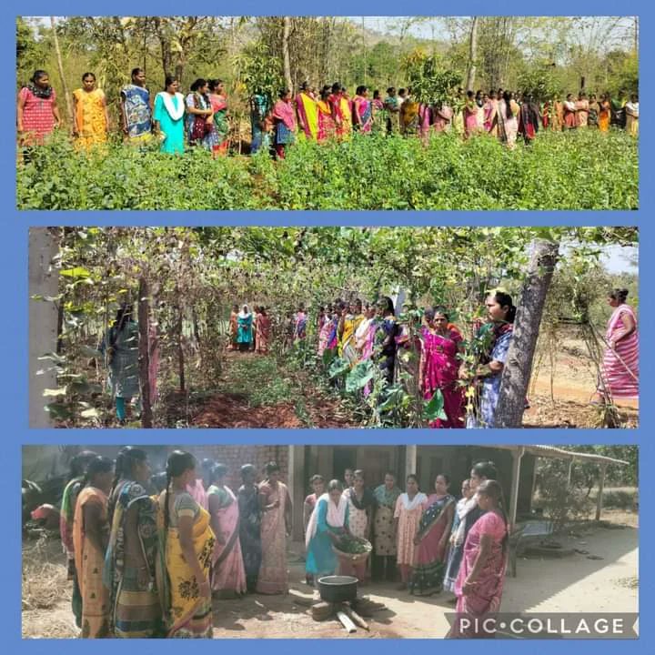 Our strategic efforts to empower women farmers are continue through farm based livelihood. On recognizing the unique challenges faced by women in agriculture, Farmers field days were organized to equip women farmers on new climate resilient techniques.