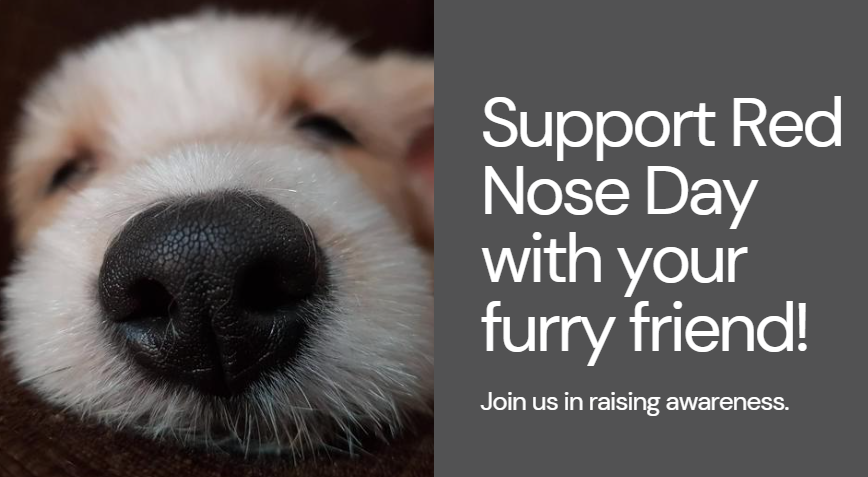 LurganLeashes's tweet photo. Have a great Red Nose Day with your furry friend from Lurgan Leashes!🐶 https://t.co/Z0D8Gk7HBQ