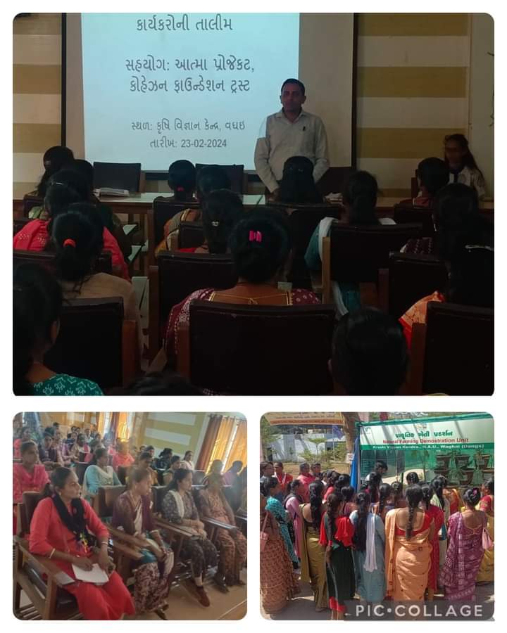 Capacity building training was conducted for Navsari CFT team &women farmers on Livelihood & Sustainable agriculture. This training was planned in coordination with District ATMA team and KVK waghai. As recommended by NCNF Guj.