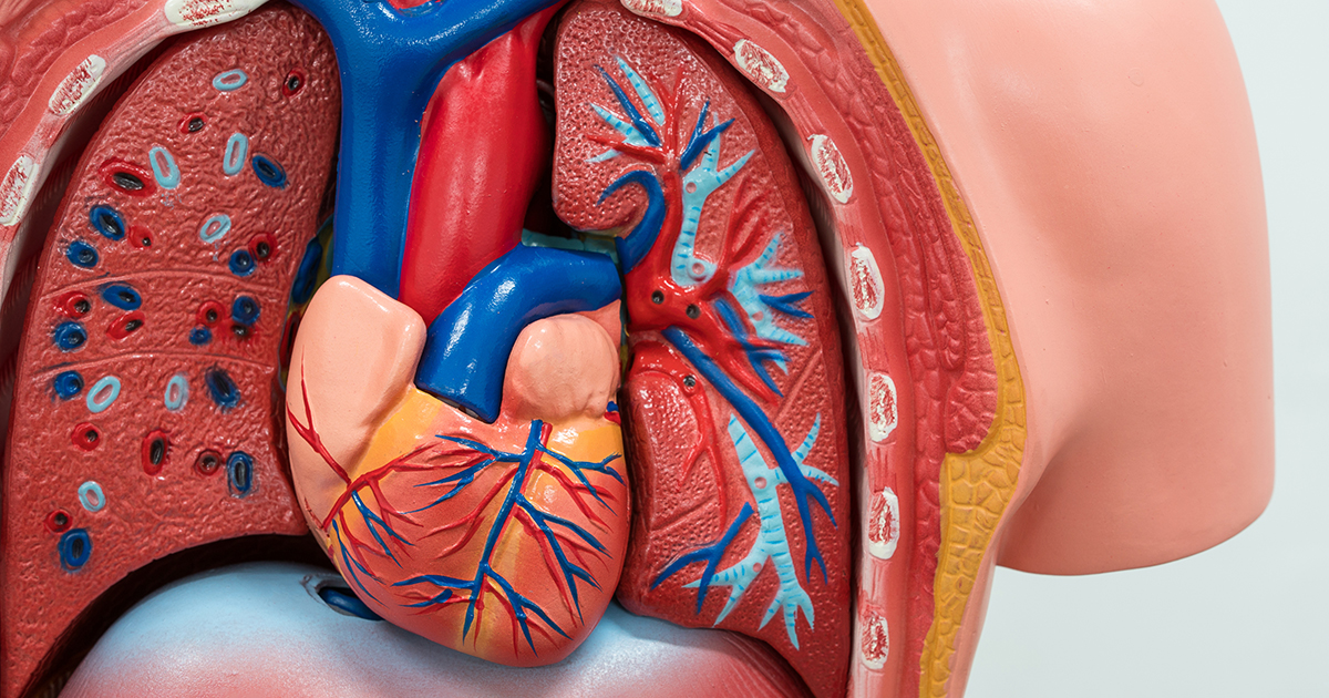 Join us for the @MGHHeartHealth Pericardial Disease Symposium, a virtual course this Friday 3/8, focusing on acute, recurrent, and constrictive pericarditis. Learn from experts, engage in case discussions, and gain valuable insights. spklr.io/6010WIsp @MassGeneralNews