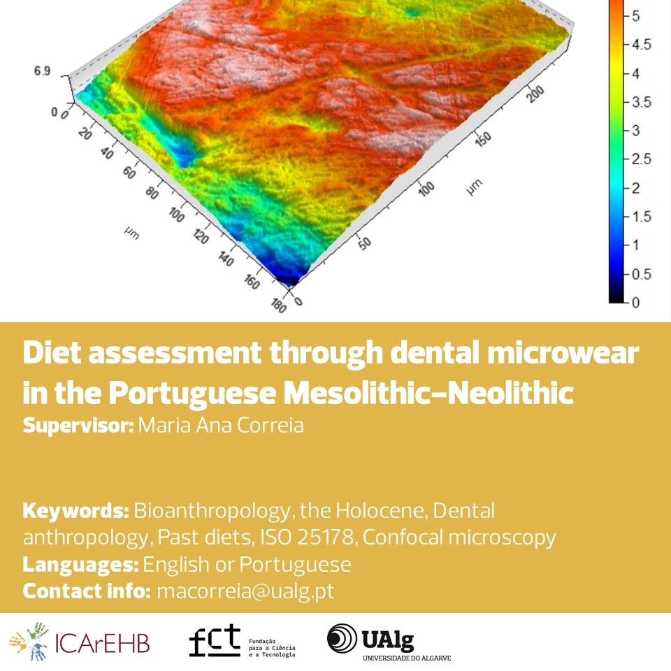 Maria Ana Correia available to supervise 'Diet assessment through dental microwear in the Portuguese Mesolithic-Neolithic' in 2024 FCT PhD Fellowships program. João Marreiros to co-supervise. More info bit.ly/42Gi1bI 
#FCTPhDFellowships #ICArEHB #ResearchOpportunity