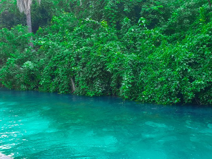 From exciting game viewing to accommodation that blends seamlessly with its surroundings, #YankariGamereserve offers a complete unforgettable safari experience.   
Have you visited the reserve yet?